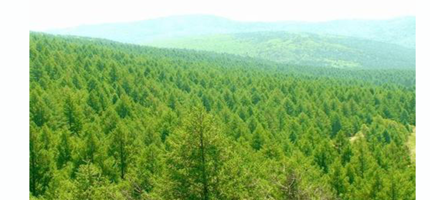 Forestry Resources Integrated Management